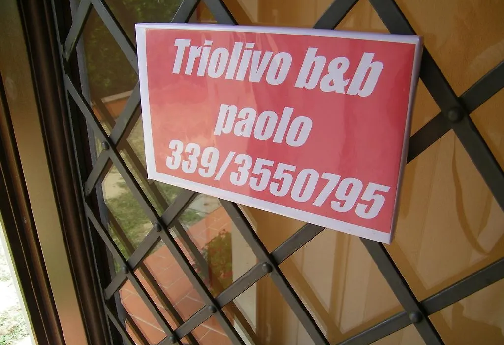 Triolivo B&B-1