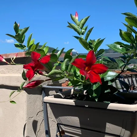 Piccola Dimora B&B-3