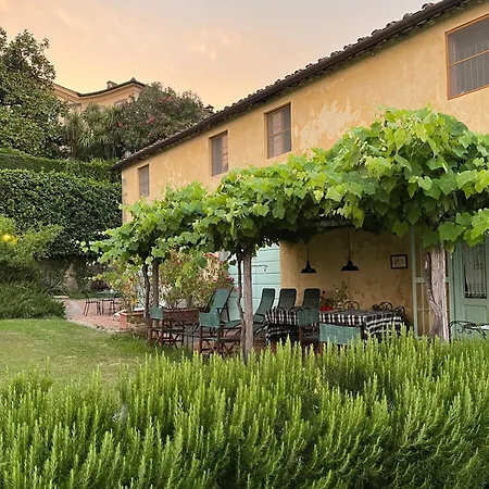 Azienda Agricola Fabbrica Di San Martino-2