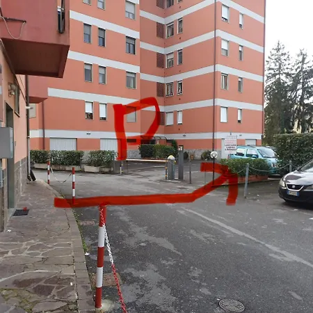 Fagiano-3