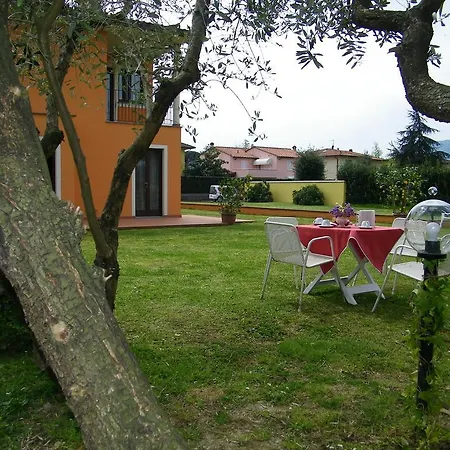Triolivo B&B-3